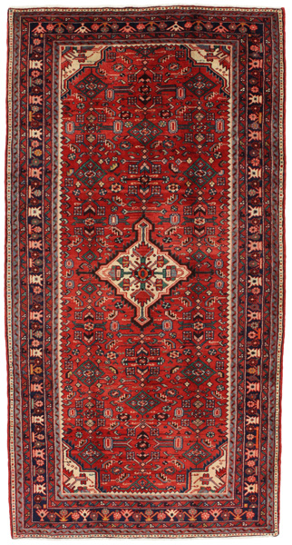 Tuyserkan - Hamadan Persian Carpet 295x153