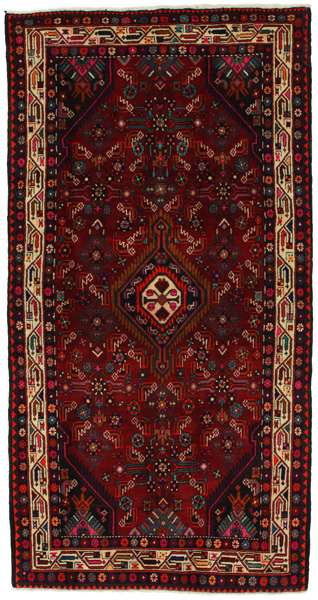 Tuyserkan - Hamadan Persian Carpet 258x134
