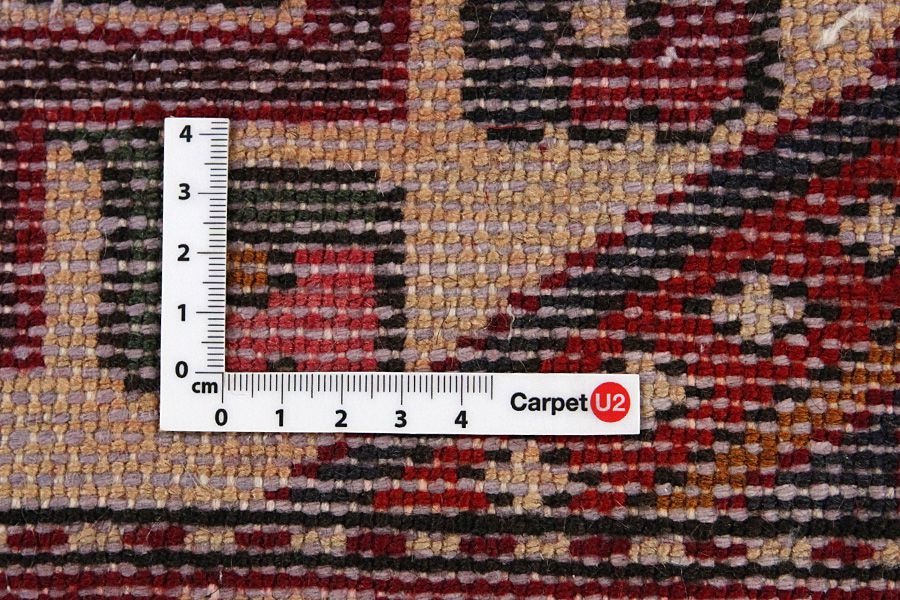 Zanjan - Hamadan Persian Carpet 295x202 - Picture 3
