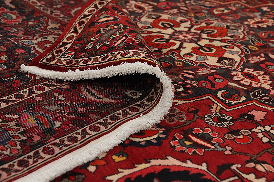 Bakhtiari Persian Carpet 312x204 - Picture 4