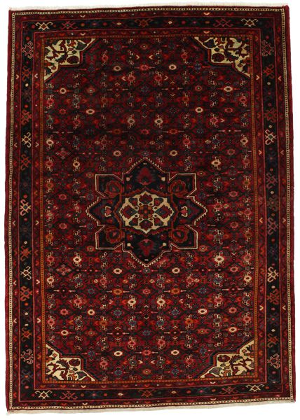 Borchalou - Hamadan Persian Carpet 224x161