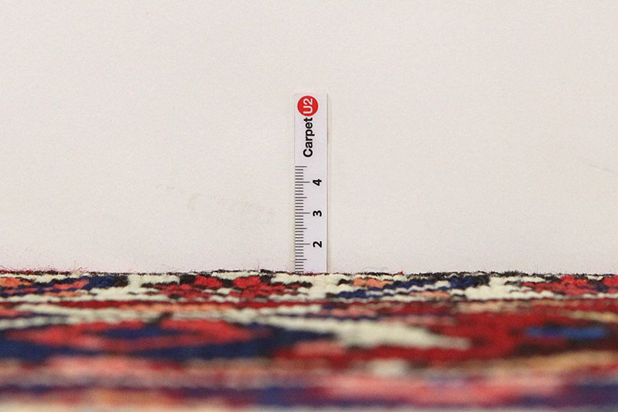 Bakhtiari Persian Carpet 309x204 - Picture 7