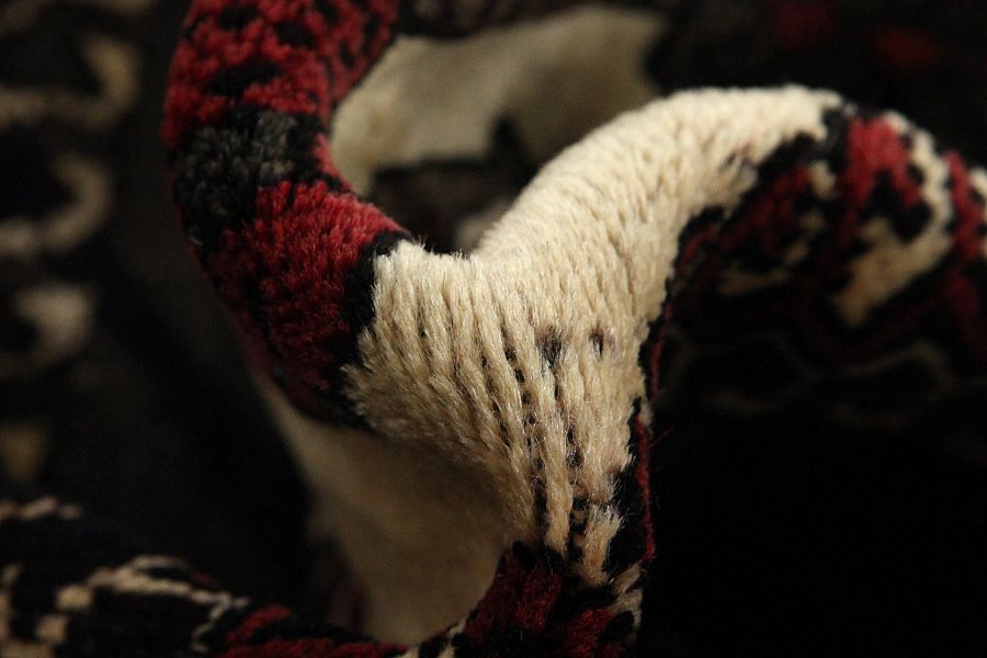 Lori - Qashqai Persian Carpet 240x144 - Picture 6