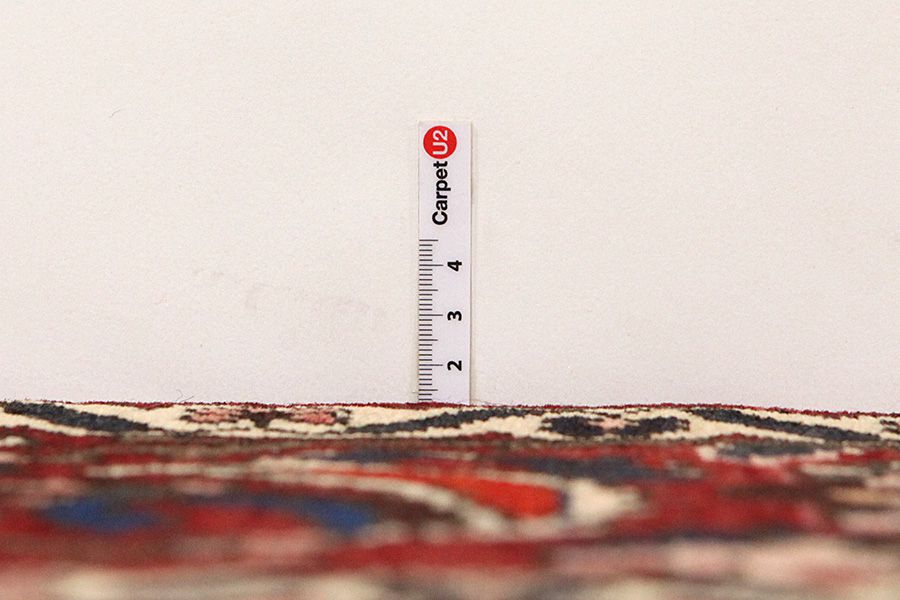 Bakhtiari Persian Carpet 322x205 - Picture 7