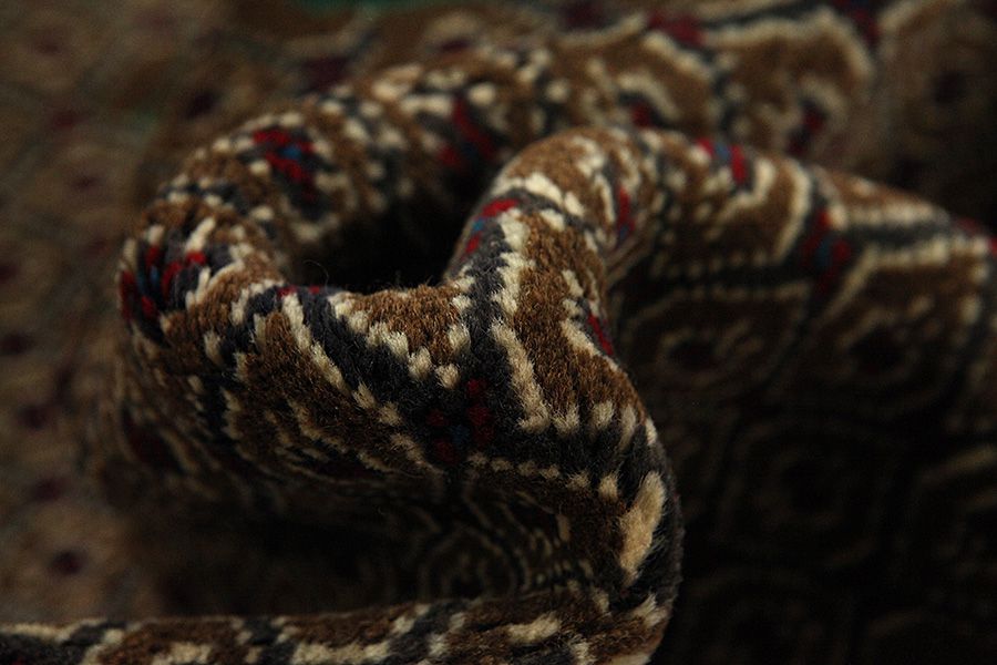 Songhor - Koliai Persian Carpet 342x160 - Picture 6