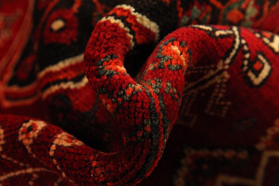 Qashqai - Shiraz Persian Carpet 243x154 - Picture 6
