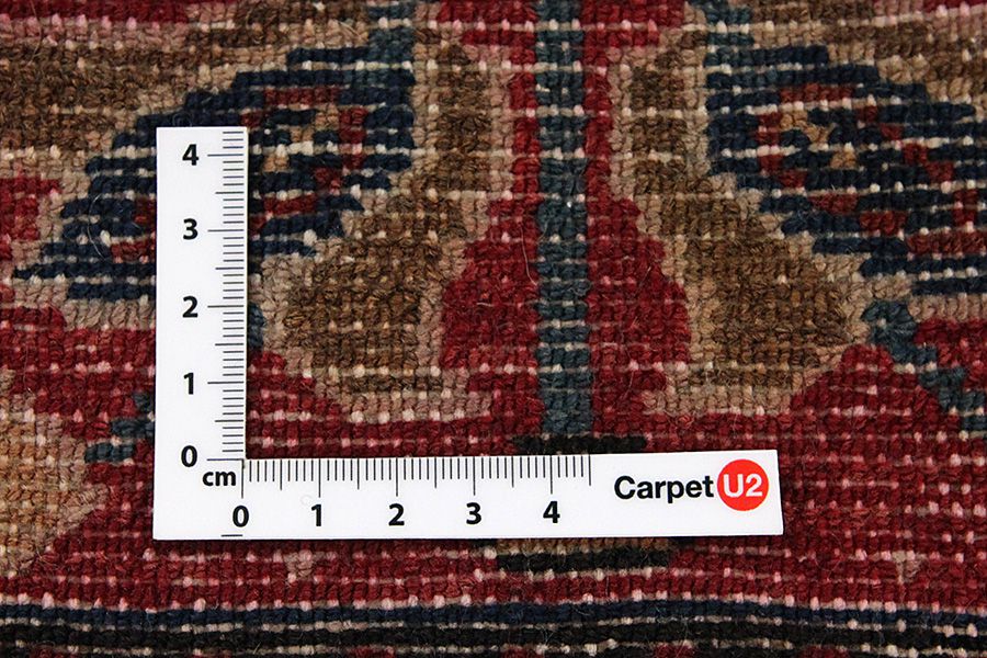 Bakhtiari - Garden Persian Carpet 297x167 - Picture 3