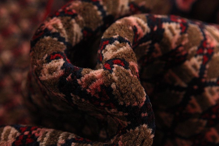Songhor - Koliai Persian Carpet 305x153 - Picture 6