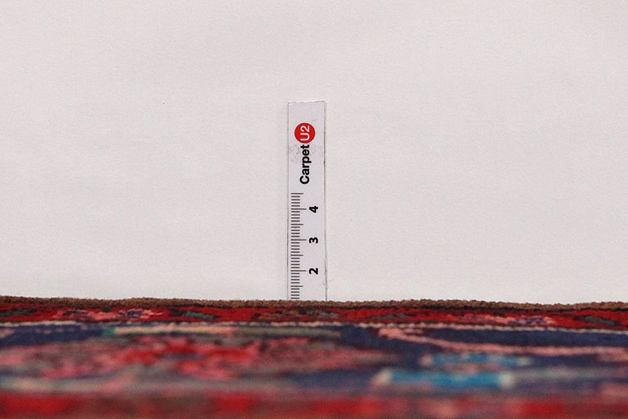 Songhor - Koliai Persian Carpet 305x153 - Picture 7