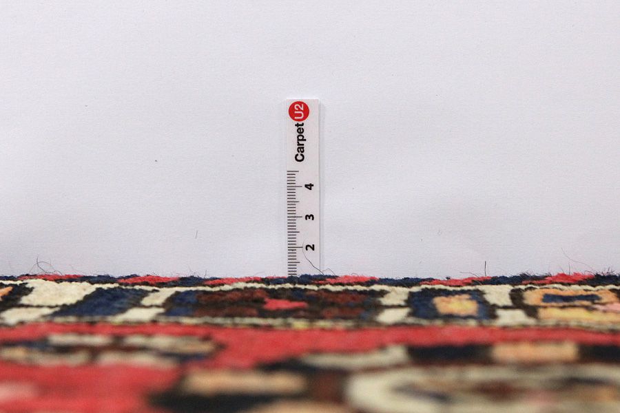 Bakhtiari Persian Carpet 313x208 - Picture 7