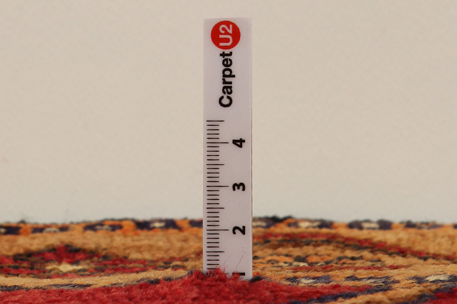 Lori - Gabbeh Persian Carpet 292x166 - Picture 8