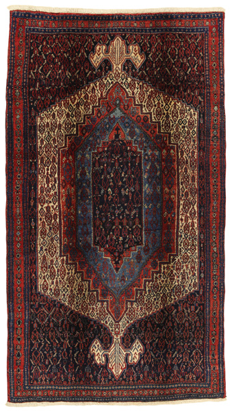 Senneh - Kurdi Persian Carpet 267x150