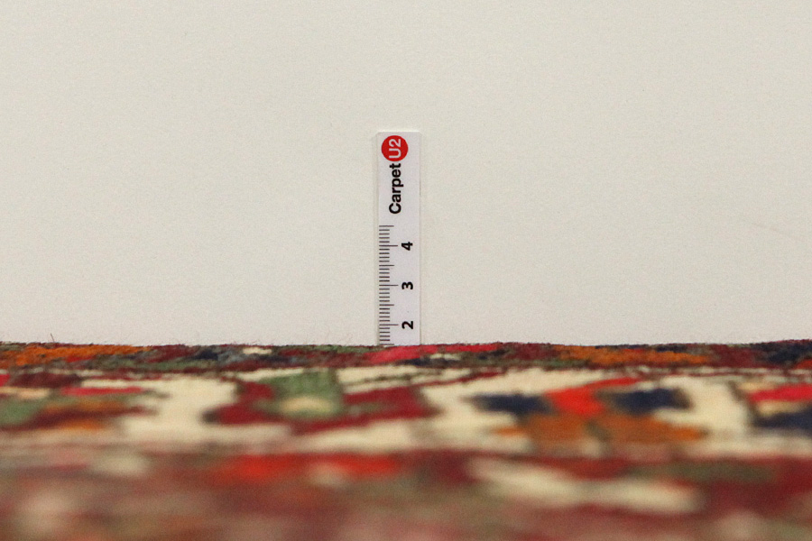 Bakhtiari Persian Carpet 312x212 - Picture 7