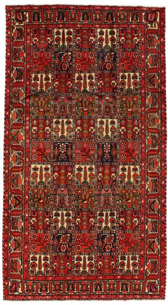 Bakhtiari - Garden Persian Carpet 305x167