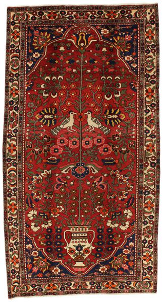 Jozan - Sarouk Persian Carpet 310x164