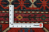 Kazak - Caucasus Caucasian Carpet 239x144 - Picture 4