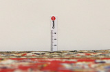 Sarouk - Farahan Persian Carpet 355x245 - Picture 8