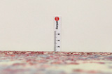 Tabriz Persian Carpet 418x295 - Picture 8
