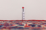Sarouk - Farahan Persian Carpet 386x303 - Picture 8
