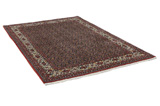 Bijar - Kurdi Persian Carpet 254x170 - Picture 1