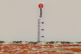 Gabbeh - Bakhtiari Persian Carpet 272x144 - Picture 8