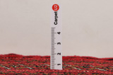 Yomut - Bokhara Persian Carpet 120x117 - Picture 8