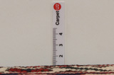 Bakhtiari - Garden Persian Carpet 301x205 - Picture 8