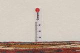 Lori - Bakhtiari Persian Carpet 237x149 - Picture 8
