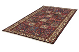 Bakhtiari - Garden Persian Carpet 296x162 - Picture 2