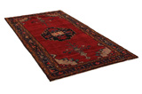 Lori - Bakhtiari Persian Carpet 310x149 - Picture 1