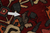 Bakhtiari Persian Carpet 278x158 - Picture 17