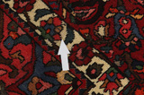 Jozan - Sarouk Persian Carpet 315x203 - Picture 17
