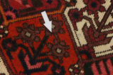 Bakhtiari Persian Carpet 299x204 - Picture 17