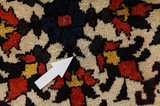 Bakhtiari Persian Carpet 313x212 - Picture 17