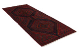 Tuyserkan - Hamadan Persian Carpet 315x123 - Picture 1