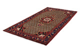 Songhor - Koliai Persian Carpet 289x148 - Picture 2