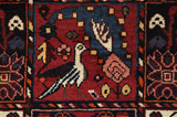 Bakhtiari Persian Carpet 292x173 - Picture 10