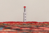 Lilian - Sarouk Persian Carpet 334x224 - Picture 8