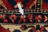 Bakhtiari Persian Carpet 208x148 - Picture 17