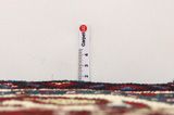 Bakhtiari Persian Carpet 330x162 - Picture 8