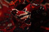 Qashqai - Shiraz Persian Carpet 240x148 - Picture 7