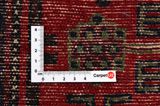 Koliai - Kurdi Persian Carpet 290x148 - Picture 4