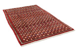 Gabbeh - Bakhtiari Persian Carpet 245x151 - Picture 1