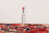 Bakhtiari Persian Carpet 270x162 - Picture 8