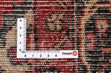 Songhor - Koliai Persian Carpet 270x153 - Picture 4