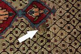 Songhor - Koliai Persian Carpet 300x152 - Picture 17
