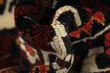 Bakhtiari Persian Carpet 313x192 - Picture 7