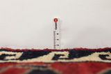 Lori - Bakhtiari Persian Carpet 247x158 - Picture 8