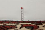 Hosseinabad - Hamadan Persian Carpet 325x105 - Picture 8