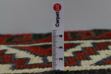 Lori - Bakhtiari Persian Carpet 211x160 - Picture 11